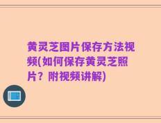 黄灵芝图片保存方法视频(如何保存黄灵芝照片？附视频讲解)