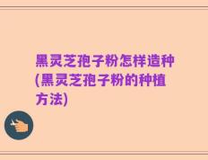 黑灵芝孢子粉怎样造种(黑灵芝孢子粉的种植方法)