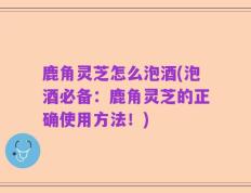 鹿角灵芝怎么泡酒(泡酒必备：鹿角灵芝的正确使用方法！)