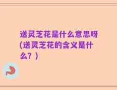 送灵芝花是什么意思呀(送灵芝花的含义是什么？)