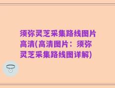 须弥灵芝采集路线图片高清(高清图片：须弥灵芝采集路线图详解)