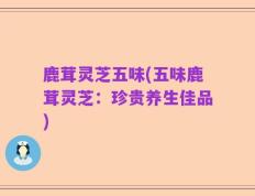 鹿茸灵芝五味(五味鹿茸灵芝：珍贵养生佳品)