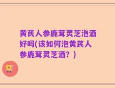 黄芪人参鹿茸灵芝泡酒好吗(该如何泡黄芪人参鹿茸灵芝酒？)