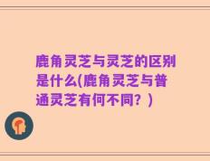 鹿角灵芝与灵芝的区别是什么(鹿角灵芝与普通灵芝有何不同？)