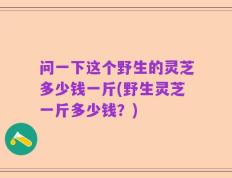 问一下这个野生的灵芝多少钱一斤(野生灵芝一斤多少钱？)