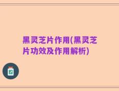 黑灵芝片作用(黑灵芝片功效及作用解析)