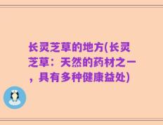 长灵芝草的地方(长灵芝草：天然的药材之一，具有多种健康益处)