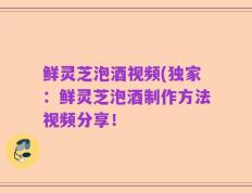 鲜灵芝泡酒视频(独家：鲜灵芝泡酒制作方法视频分享！
