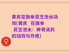 黄芪花旗参灵芝泡水功效(黄芪  花旗参  灵芝泡水：神奇汤药的功效与作用)