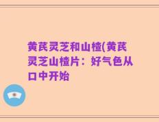 黄芪灵芝和山楂(黄芪灵芝山楂片：好气色从口中开始