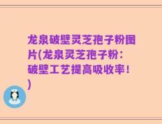 龙泉破壁灵芝孢子粉图片(龙泉灵芝孢子粉：破壁工艺提高吸收率！)