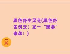 黑色野生灵芝(黑色野生灵芝：又一“黑金”来袭！)
