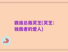 霸道总裁灵芝(灵芝：独裁者的爱人)
