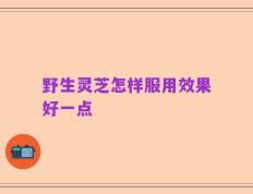 野生灵芝怎样服用效果好一点