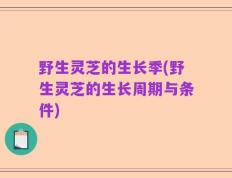 野生灵芝的生长季(野生灵芝的生长周期与条件)