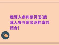 鹿茸人参和紫灵芝(鹿茸人参与紫灵芝的奇妙结合)