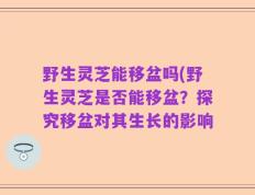 野生灵芝能移盆吗(野生灵芝是否能移盆？探究移盆对其生长的影响