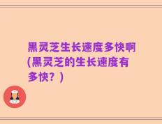黑灵芝生长速度多快啊(黑灵芝的生长速度有多快？)