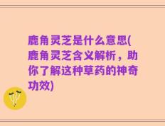 鹿角灵芝是什么意思(鹿角灵芝含义解析，助你了解这种草药的神奇功效)