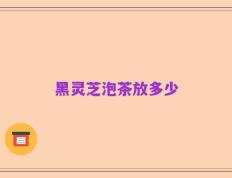 黑灵芝泡茶放多少