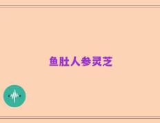 鱼肚人参灵芝