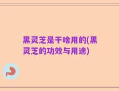黑灵芝是干啥用的(黑灵芝的功效与用途)