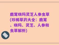 鹿茸嗨玛灵芝人参虫草(珍稀草药大全：鹿茸、嗨玛、灵芝、人参和虫草解析)