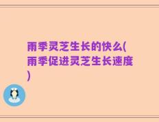 雨季灵芝生长的快么(雨季促进灵芝生长速度)