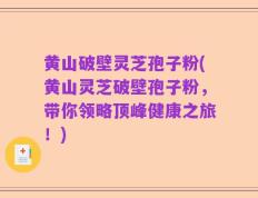 黄山破壁灵芝孢子粉(黄山灵芝破壁孢子粉，带你领略顶峰健康之旅！)