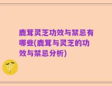 鹿茸灵芝功效与禁忌有哪些(鹿茸与灵芝的功效与禁忌分析)