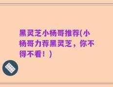 黑灵芝小杨哥推荐(小杨哥力荐黑灵芝，你不得不看！)