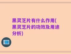黑灵芝片有什么作用(黑灵芝片的功效及用途分析)
