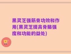 黑灵芝强筋骨功效和作用(黑灵芝提高骨骼强度和功能的益处)