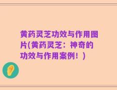 黄药灵芝功效与作用图片(黄药灵芝：神奇的功效与作用案例！)
