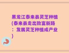 黑龙江泰来县灵芝种植(泰来县走出致富新路：发展灵芝种植成产业)