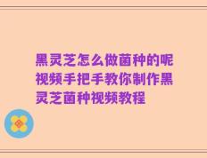 黑灵芝怎么做菌种的呢视频手把手教你制作黑灵芝菌种视频教程