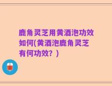 鹿角灵芝用黄酒泡功效如何(黄酒泡鹿角灵芝有何功效？)