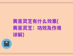 黄莲灵芝有什么效果(黄莲灵芝：功效及作用详解)