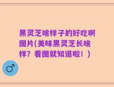 黑灵芝啥样子的好吃啊图片(美味黑灵芝长啥样？看图就知道啦！)
