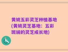黄姚五彩灵芝种植基地(黄姚灵芝基地：五彩斑斓的灵芝成长地)