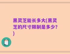 黑灵芝能长多大(黑灵芝的尺寸限制是多少？)