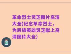 革命烈士灵芝图片高清大全(纪念革命烈士，为民族英雄灵芝献上高清图片大全)