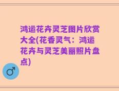 鸿运花卉灵芝图片欣赏大全(花香灵气：鸿运花卉与灵芝美丽照片盘点)