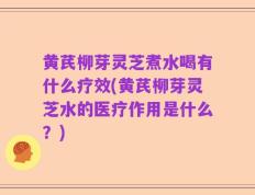 黄芪柳芽灵芝煮水喝有什么疗效(黄芪柳芽灵芝水的医疗作用是什么？)