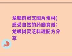 龙眼树灵芝图片素材(感受自然的药膳食谱：龙眼树灵芝料理配方分享