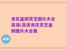 青花盖碗灵芝图片大全高清(高清青花灵芝盖碗图片大合集