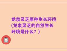 龙泉灵芝原种生长环境(龙泉灵芝的自然生长环境是什么？)