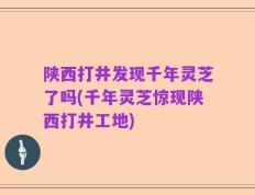 陕西打井发现千年灵芝了吗(千年灵芝惊现陕西打井工地)
