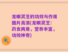 龙眼灵芝的功效与作用图片高清(龙眼灵芝：药食两用，营养丰富，功效神奇)