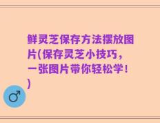 鲜灵芝保存方法摆放图片(保存灵芝小技巧，一张图片带你轻松学！)